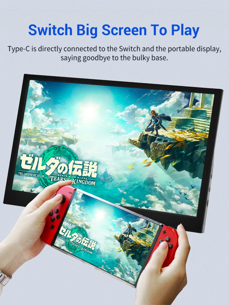 Écran LCD pour moniteur portable